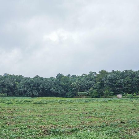 Thanal Premium Villa By - A Place To Call Your Home Muvattupuzha Buitenkant foto