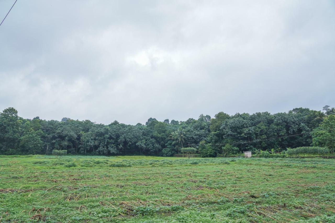 Thanal Premium Villa By - A Place To Call Your Home Muvattupuzha Buitenkant foto
